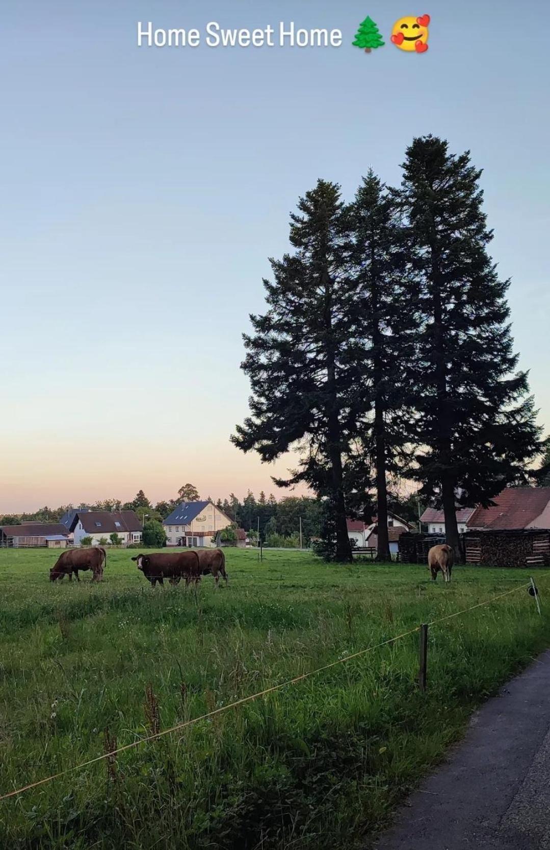 Chickenhill Blackforest, Ferienwohnung Grosshans Bad Wildbad Exterior foto